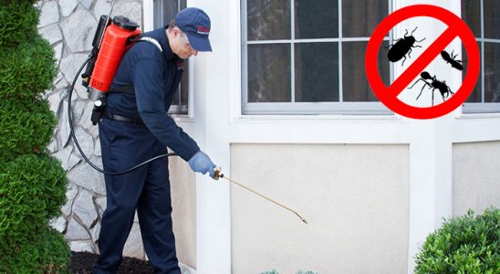 Ortaca Kemirgen İlaçlama böcek ilaçlama ve haşere kontrolü — ilaclama-tr.com